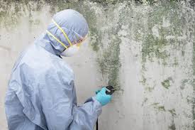 Best Biohazard Mold Removal  in Hialeah Gardens, FL